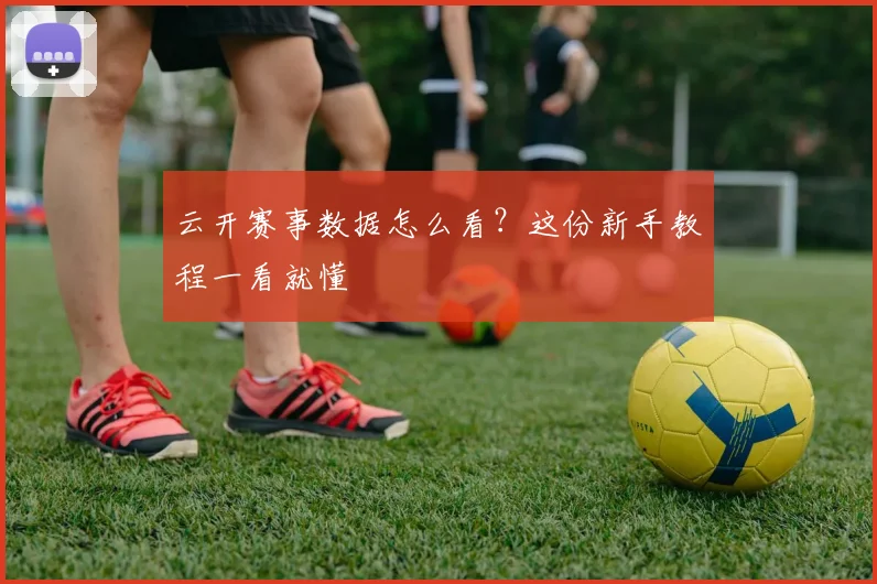 云开赛事数据怎么看？这份新手教程一看就懂