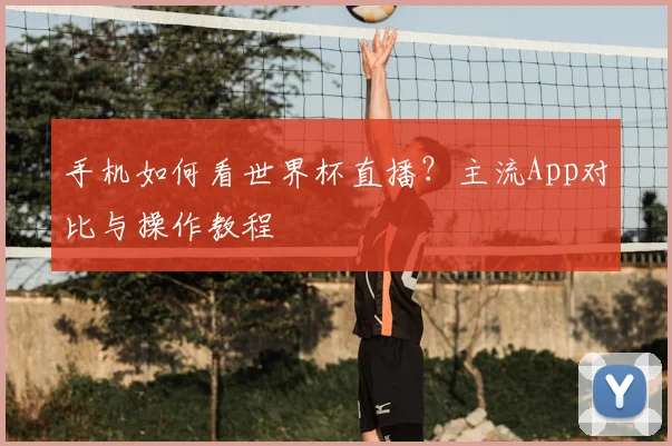 手机如何看世界杯直播？主流App对比与操作教程