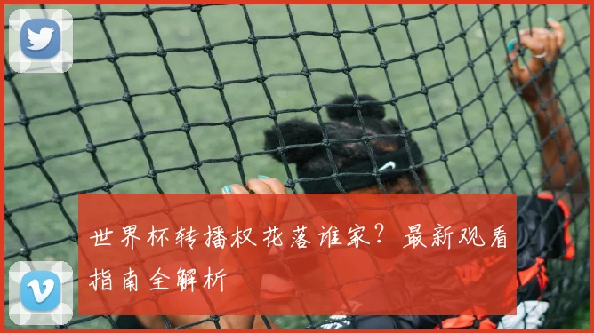 世界杯转播权花落谁家？最新观看指南全解析